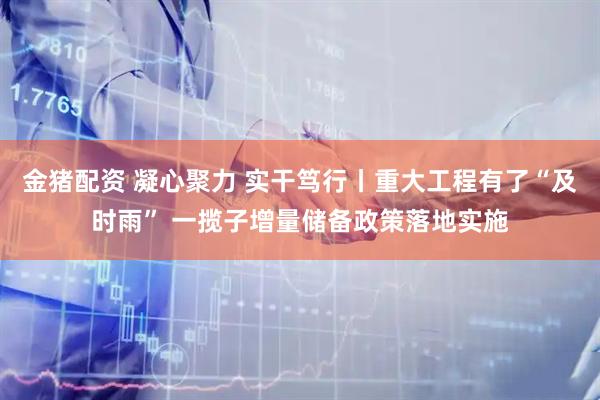 金猪配资 凝心聚力 实干笃行丨重大工程有了“及时雨” 一揽子增量储备政策落地实施