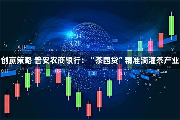 创赢策略 普安农商银行：“茶园贷”精准滴灌茶产业