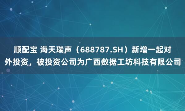 顺配宝 海天瑞声（688787.SH）新增一起对外投资，被投资公司为广西数据工坊科技有限公司