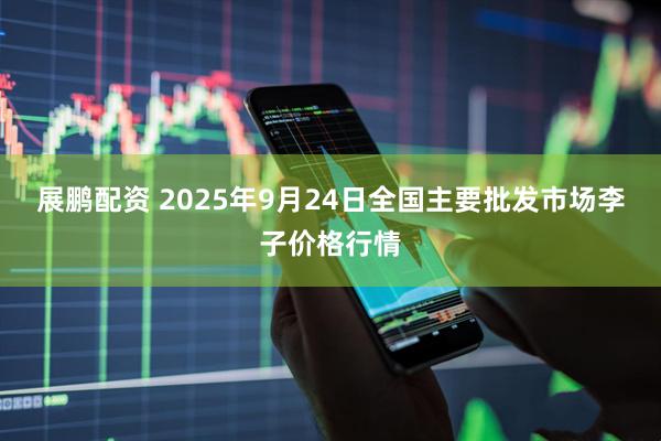 展鹏配资 2025年9月24日全国主要批发市场李子价格行情