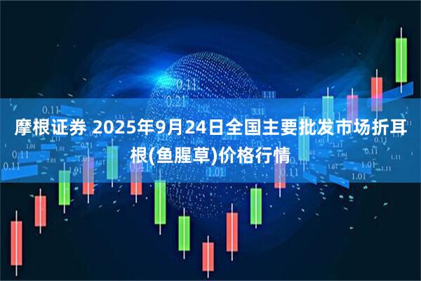 摩根证券 2025年9月24日全国主要批发市场折耳根(鱼腥草)价格行情