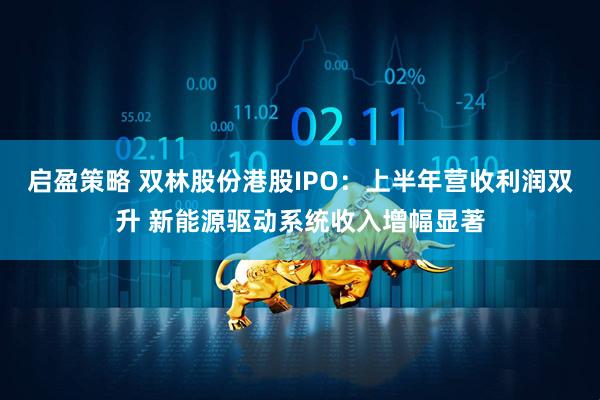启盈策略 双林股份港股IPO：上半年营收利润双升 新能源驱动系统收入增幅显著