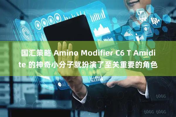 国汇策略 Amino Modifier C6 T Amidite 的神奇小分子就扮演了至关重要的角色