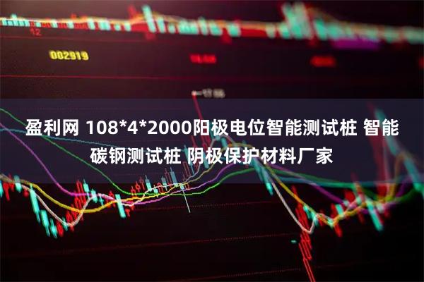 盈利网 108*4*2000阳极电位智能测试桩 智能碳钢测试桩 阴极保护材料厂家