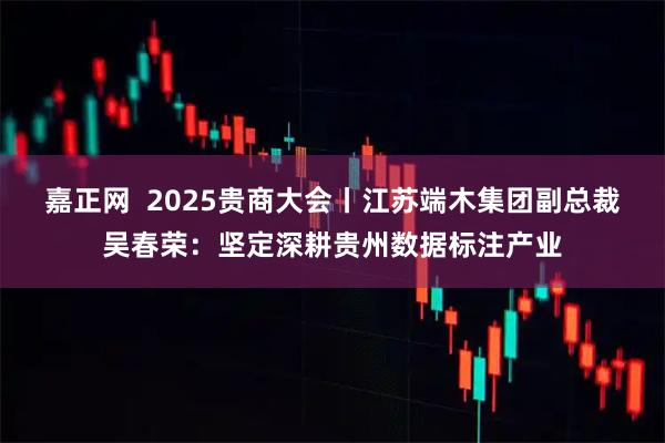 嘉正网 2025贵商大会丨江苏端木集团副总裁吴春荣:坚定深耕贵州数据标注产业