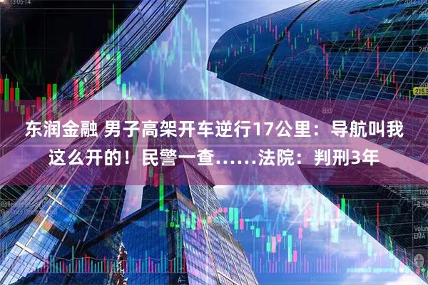 东润金融 男子高架开车逆行17公里:导航叫我这么开的!民警一查……法院:判刑3年